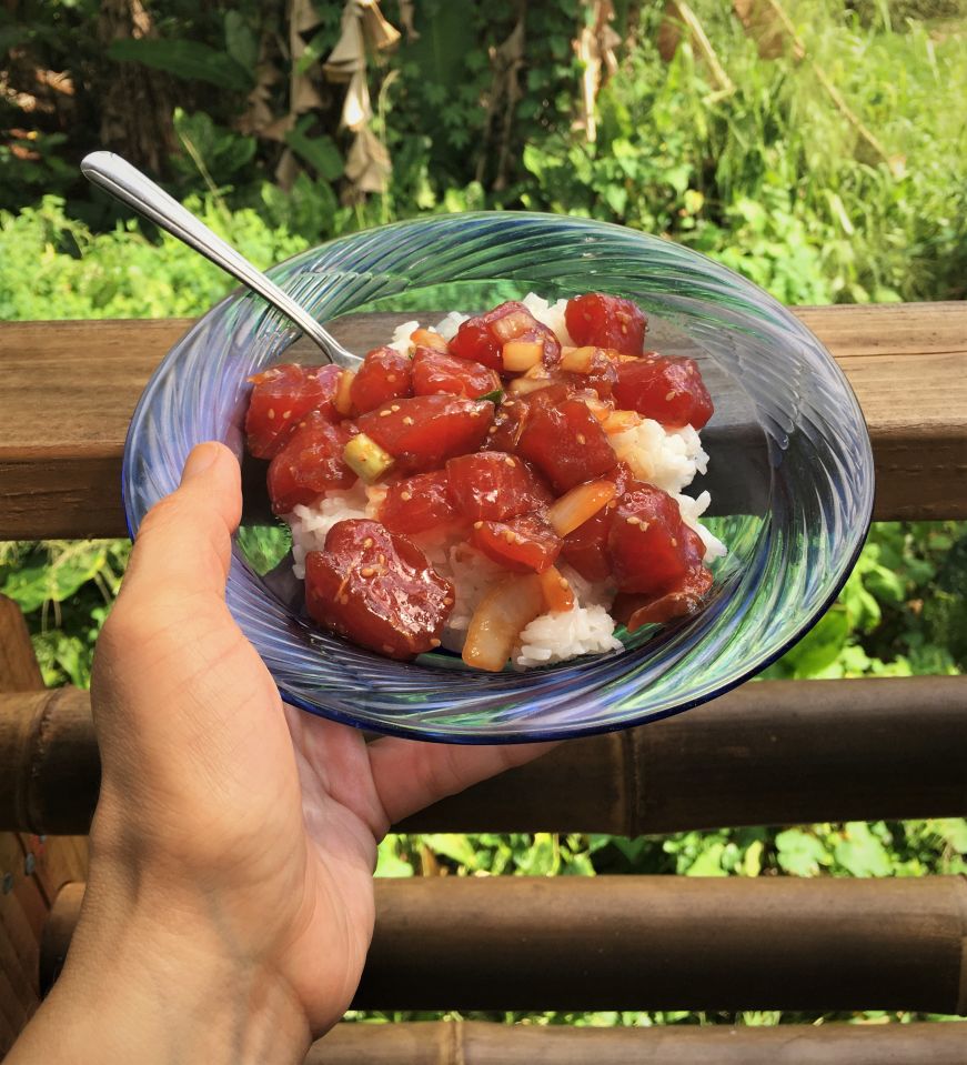 Hand holding blue bowl of white rice and poke with a backdrop of lush tropical plants, Hawaii