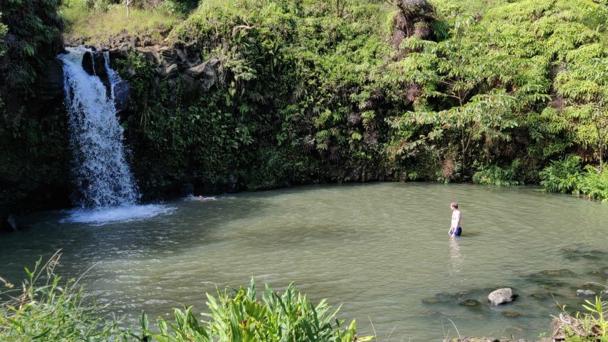 Man swimming in a waterfall fed pool