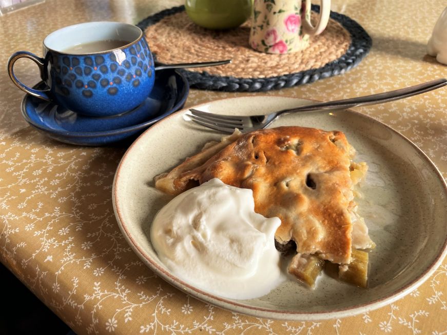 Slice of rhubarb pie with whipped cream and a cup of tea