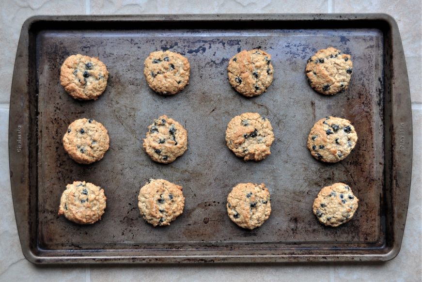 Salted Blueberry Oatmeal Cookies 