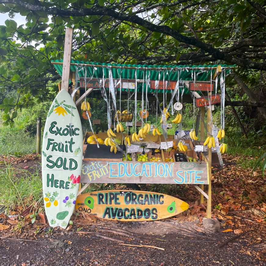 Roadside fruit stand stocked with bananas and other tropical fruit