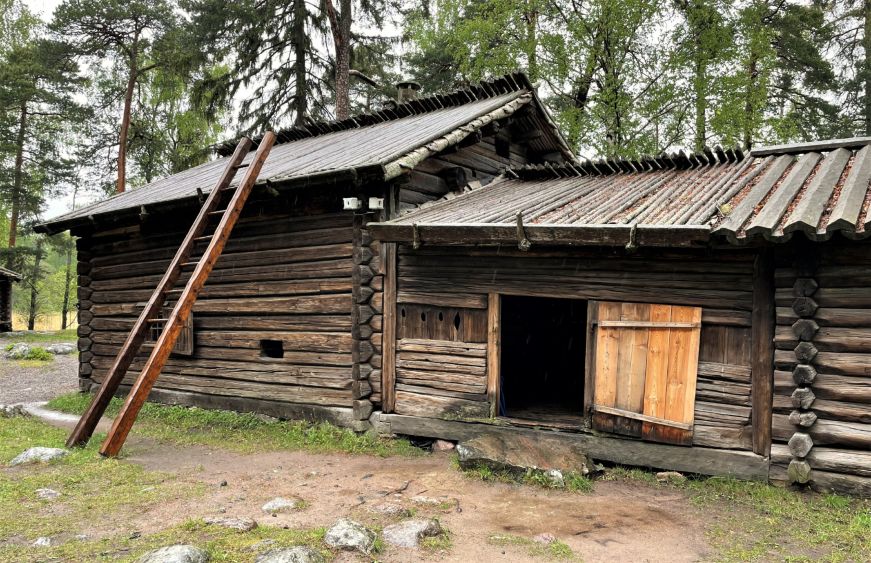 Log cabin with a ladder leaning against it