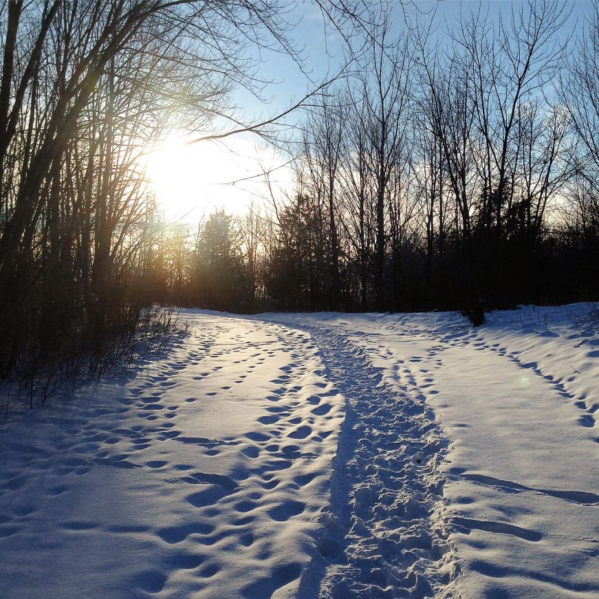 Snowy path in Elm Creek Park Reserve