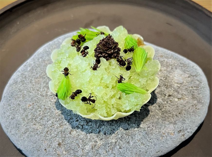 Spruce shoot, pine nuts, lemon leaf, and wood ants, Grön White chocolate shell filled with a bright green sorbet and garnished with spruce tips and ants