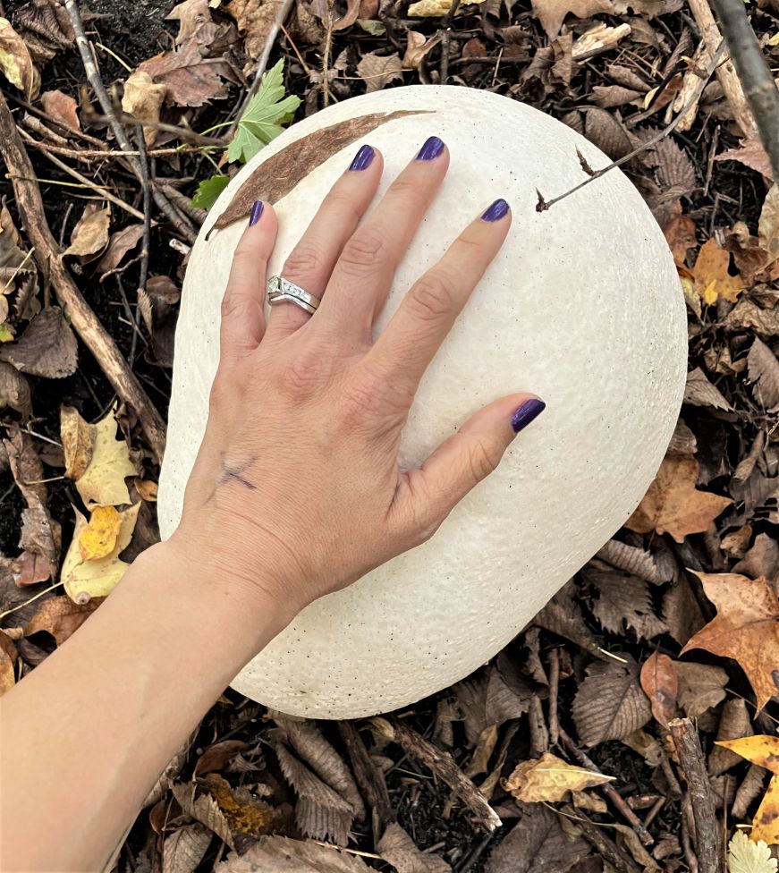 Stacy's hand resting on a large white mushroom approximately the size of a basketball
