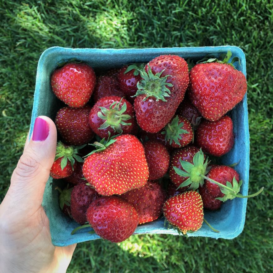 Hand holiding container of strawberries