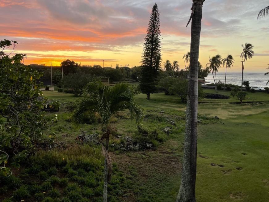 View of sunrise across a park with palm trees and ocean in the background
