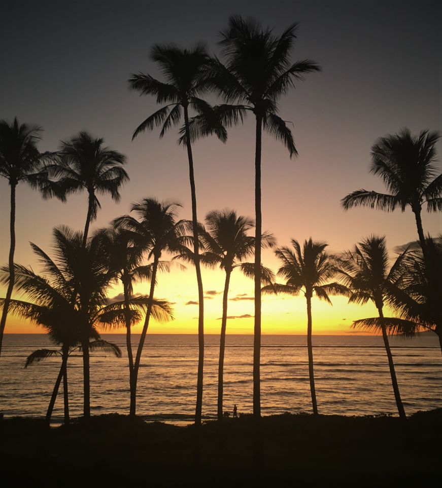 View of the sunset from our vacation rental, Kihei, Maui Ocean sunset with palm trees, Kihei, Maui