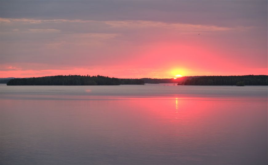 Sunset over lake surrounded by pine trees