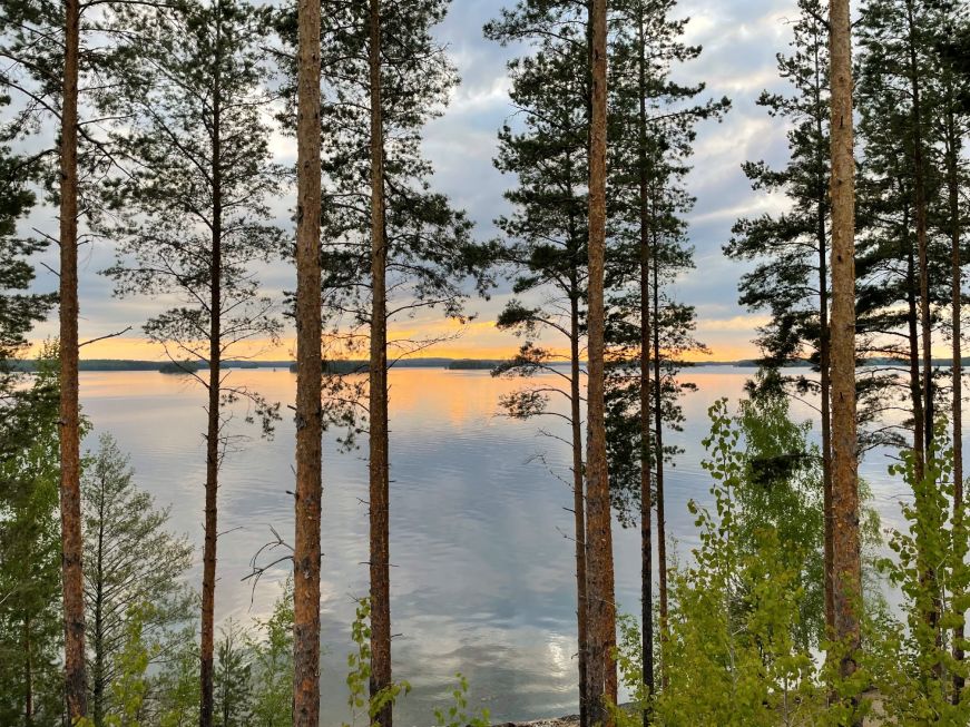View of sunset over lake through trees