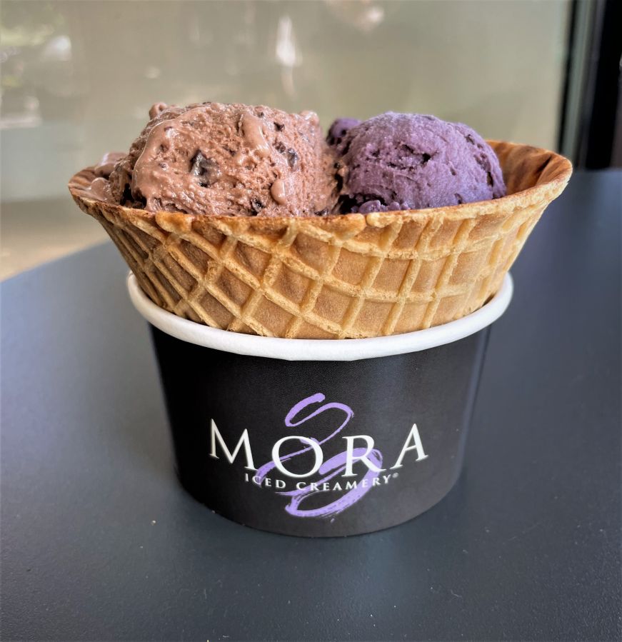 Waffle bowl with small scoops of chocolate and blackberry ice cream