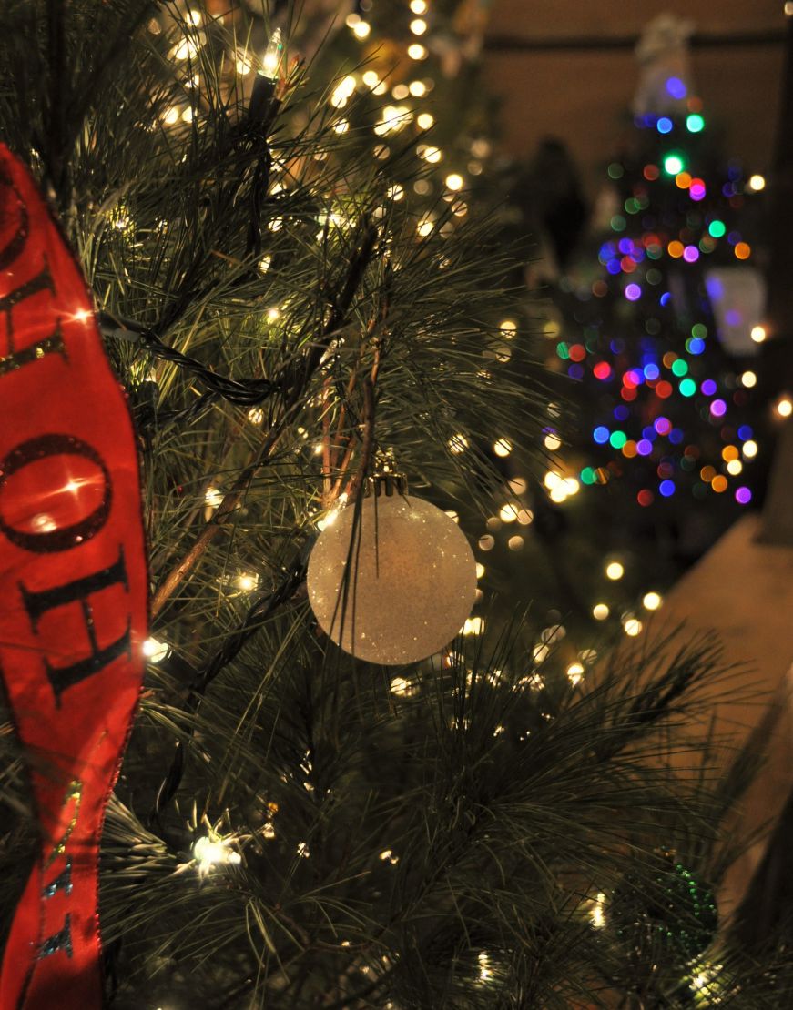 Tannenbaum Forest, Amana Colonies