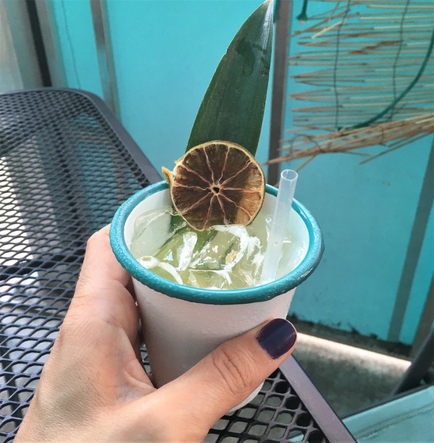 Hand holding a cocktail garnished with a palm frond