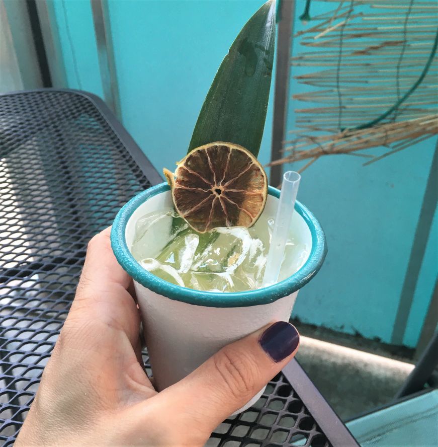 Tepache cocktail, Hola Arepa Hand holding a cocktail garnished with a palm frond