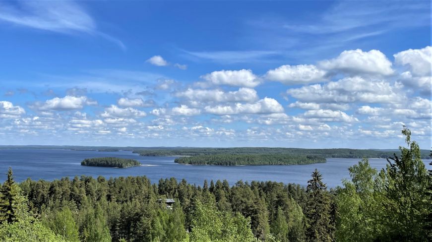 View of lake surrounded by pine trees