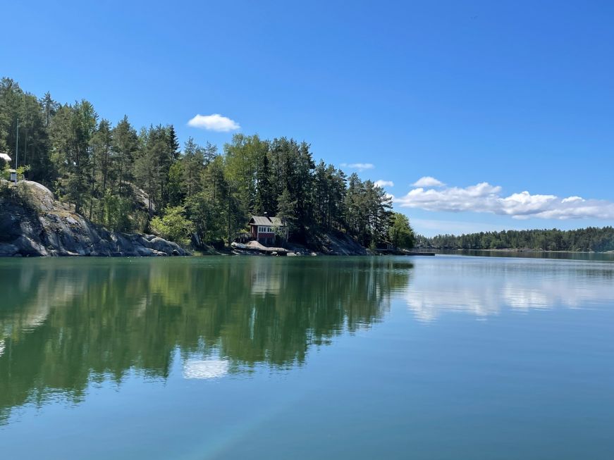 Shoreline with pine trees and bright blue sky