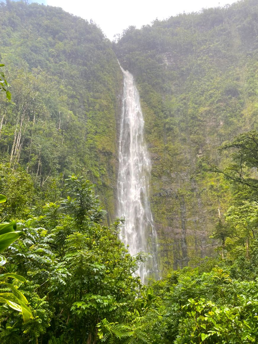 Large waterfall tumbling down a cliff and surrounded by greenery