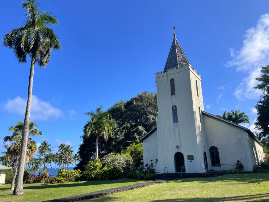White church with a steeple with a palm tree in the front lawn