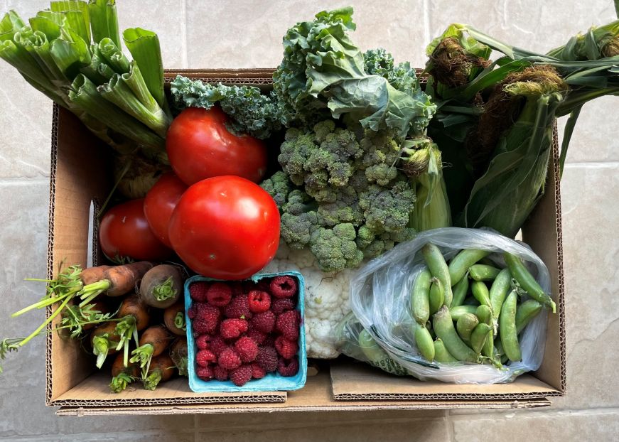 Cardboard box filled with fresh vegetables and fruit
