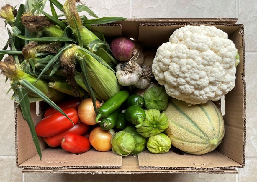 Cardboard box filled with corn, tomatoes, cantaloupe, cauliflower, and other produce