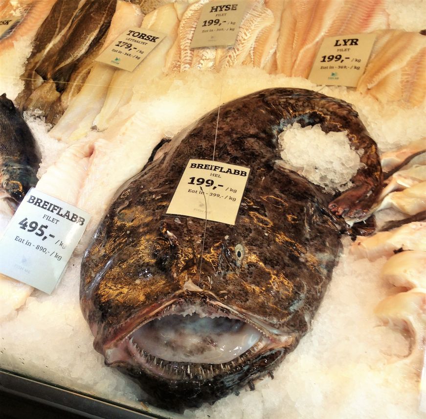 Whole fish at the Bergen Fish Market