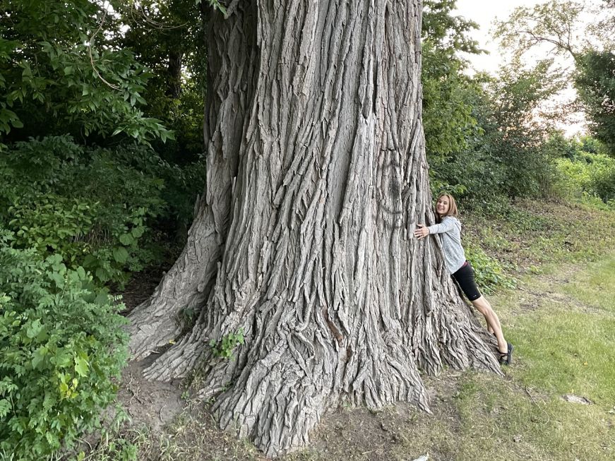 Stacy hugging a very large tree