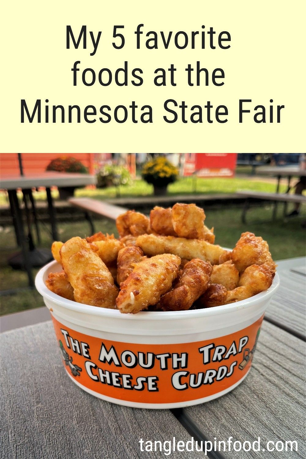 Photo of a plastic bucket of cheese curds and text reading "My 5 favorite foods at the Minnesota State Fair"