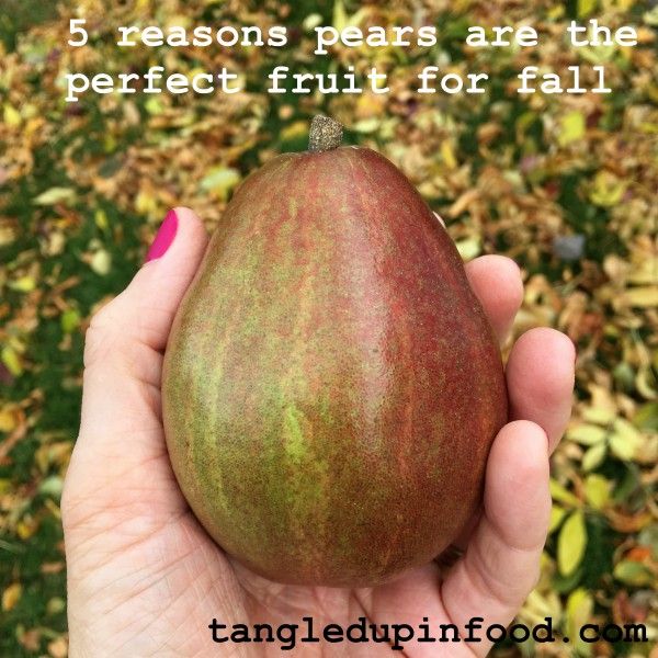 5 reasons pears are the perfect fruit for fall Pinterest image