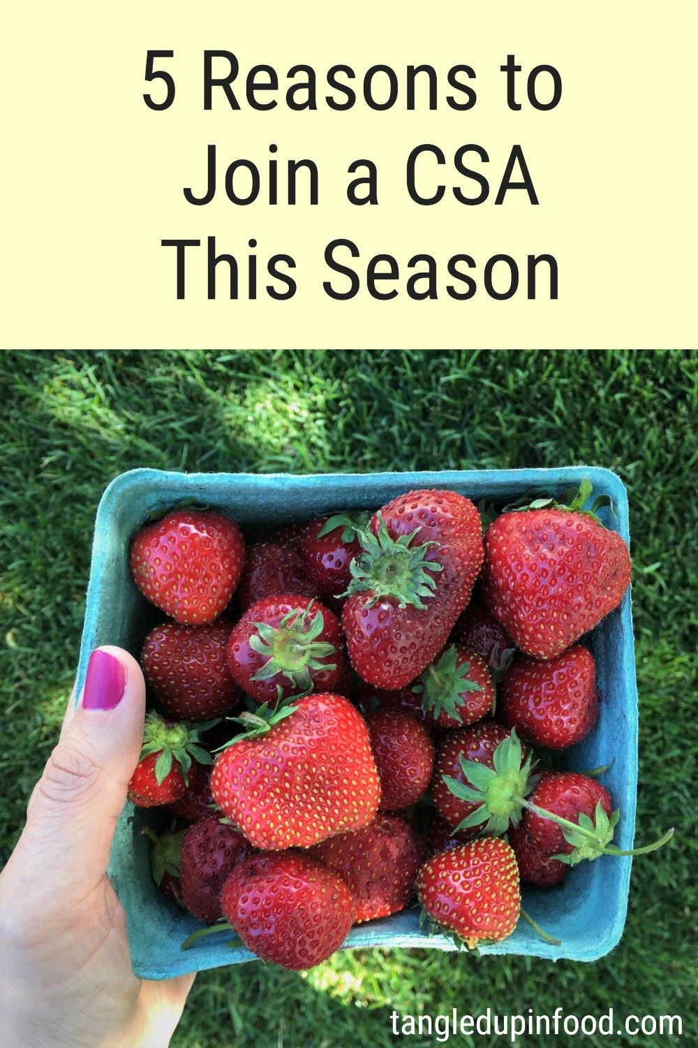 Hand holding basket of strawberries with text reading "5 reasons to join a CSA this season"