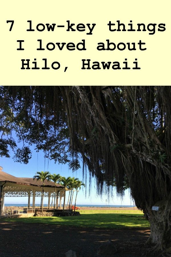 Picture of banyan tree with pavilion and ocean in the background with the text "7 low-key things I loved about Hilo, Hawaii"