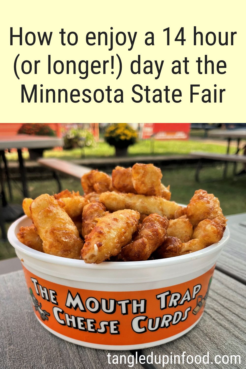 Photo of bucket of deep-fried cheese curds and text reading "How to enjoy a 14 hour (or longer!) day at the Minnesota State Fair"