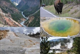 Yellowstone Collage