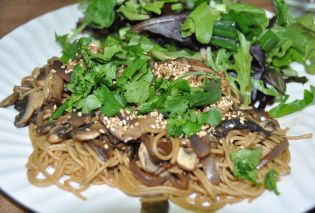 Teriyaki Mushroom Noodles 