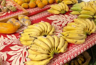 Bananas and other tropical fruit arranged on a table