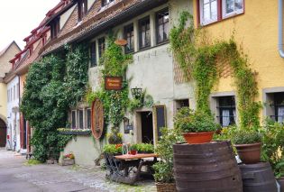 Hotel facade covered with ivy, Altfraenkische Weinstube, Rothenburg ob der Tauber, Germany