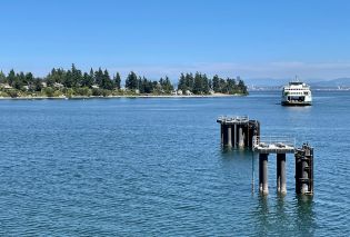 Shoreline with pine trees and a ferry boat