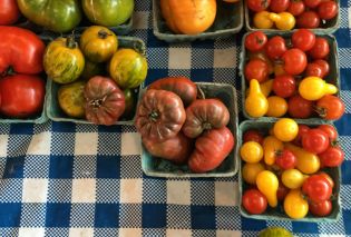 Boxes of multicolored tomatoes on a gingham tablecloth