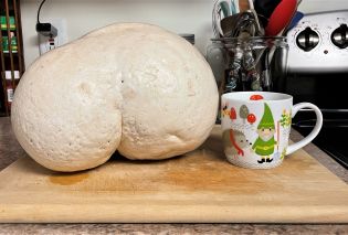 Giant puffball mushroom sitting on a wooden cutting board next to a coffee mug for scale