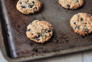 Salted Oatmeal Blueberry Cookies 