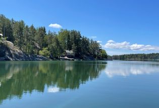 Lake with island covered with pine trees