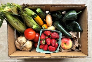 Cardboard box filled with produce