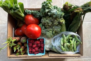 Cardboard box filled with produce