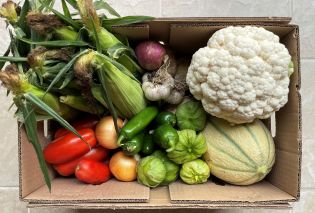 Cardboard box filled with produce